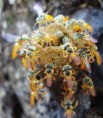 /album/fotogaleria/ogaaacu-we3tc4vn87c4ovhxm5y72fa3e5yhdc4gxqpzeaacb8o0c-s04dwofnnzp-eup42qdkhnsa-epsx-tozfcaeam1t1ugy4vlvwczempqro1w9qjdaj-dys-jpg/